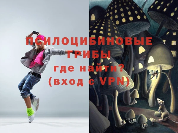 круглые Осташков
