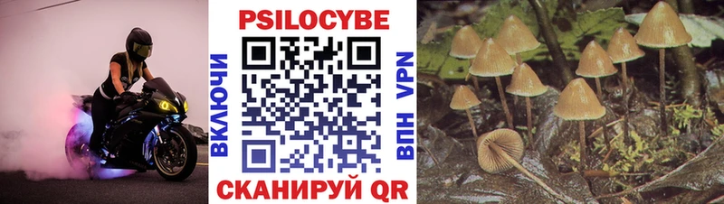 Галлюциногенные грибы ЛСД  Таруса 